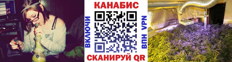 Шишки марихуана индика  Георгиевск 